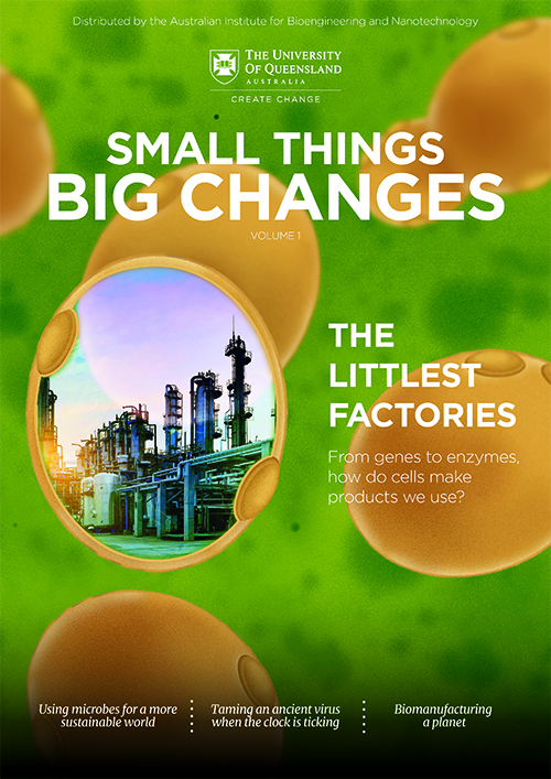 AIBN Small Things Big Chanages Volume 1