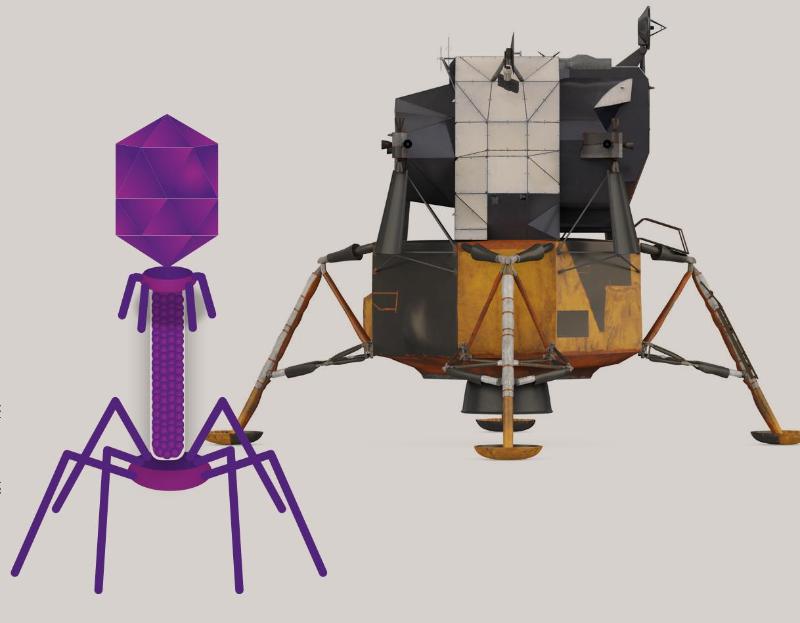 Lunar lander, Going through a phage, AIBN's Small Things Big Changes