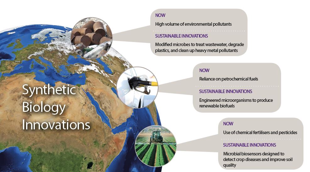 sustainability chart, using microbes for a more sustainable world, AIBN's Small Things Big Changes