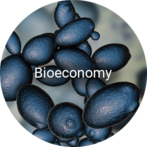 Bioeconomy