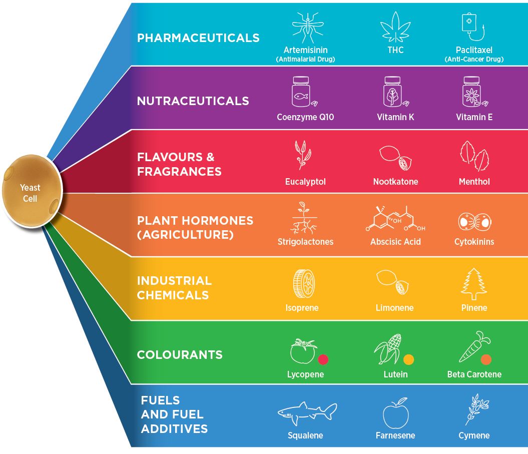 Models, Makng models, AIBN's Small Things Big Changes 