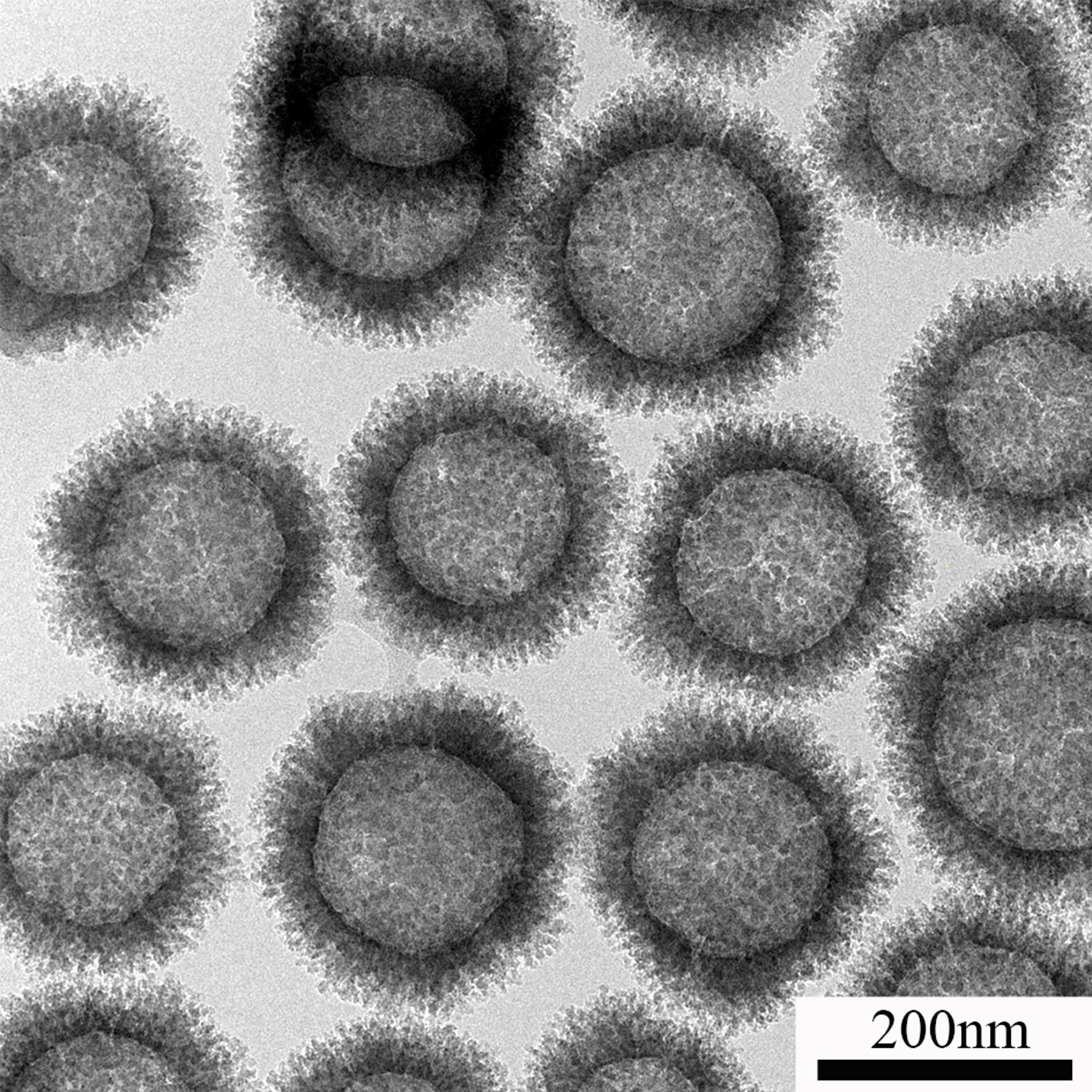 Spikey Nanoparticles developed by AIBN researcher Professor Michael Yu