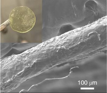 Cross-sectional SEM image of the material