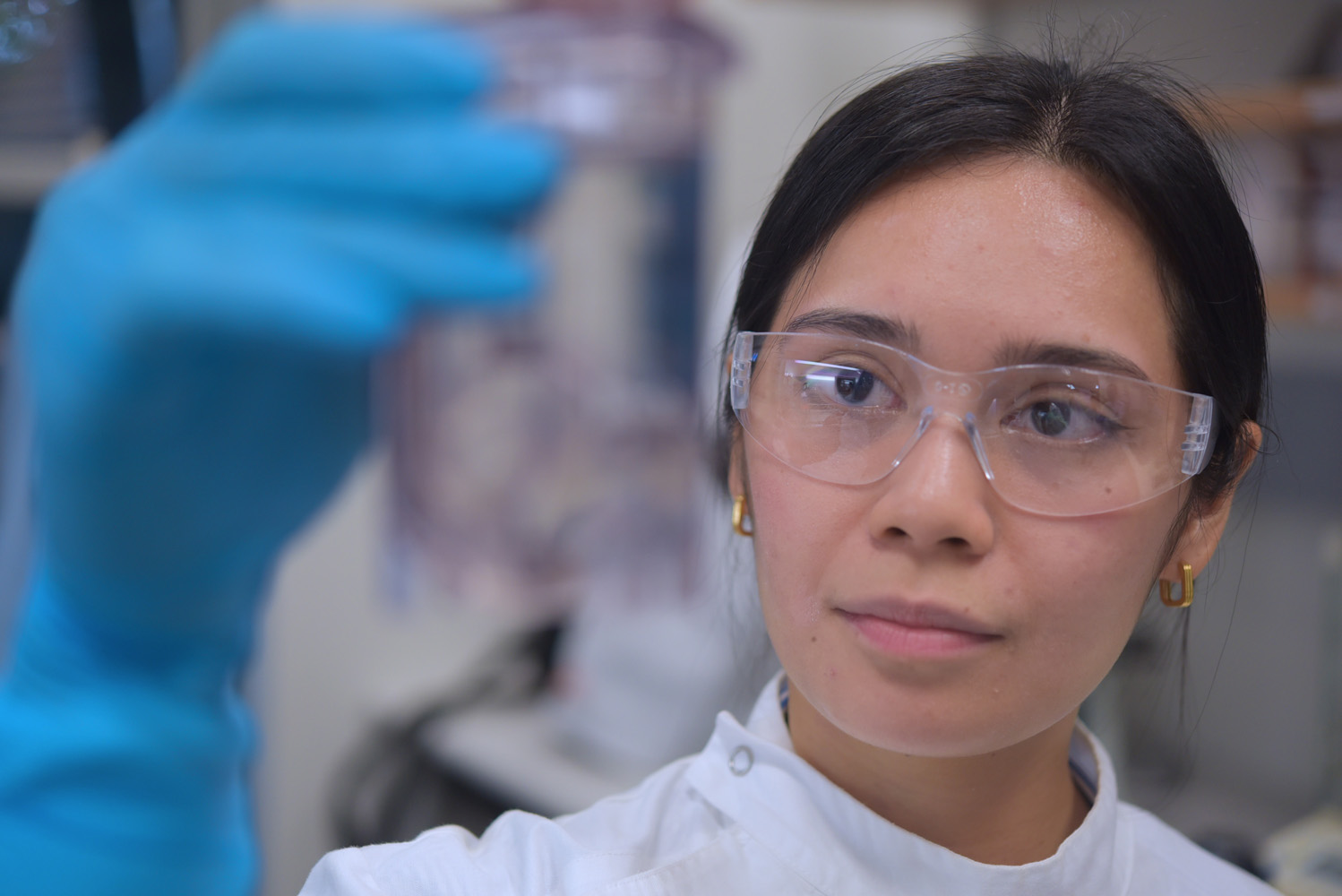 Gray group researcher Cherica Felize J. Ongtengco examining heart muscle cells.