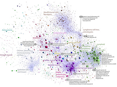 Nano Technology Research Global Map DNA research revealing 'libraries' of information   Australian 