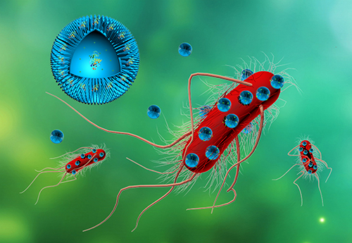 Antibacterial nano-formulations for livestock healthcare