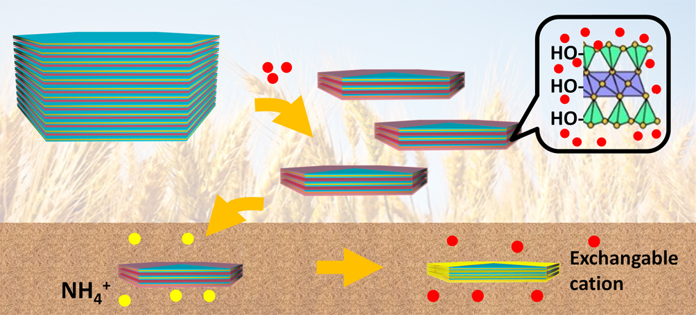 Nanotechnology for high-performance fertilizers