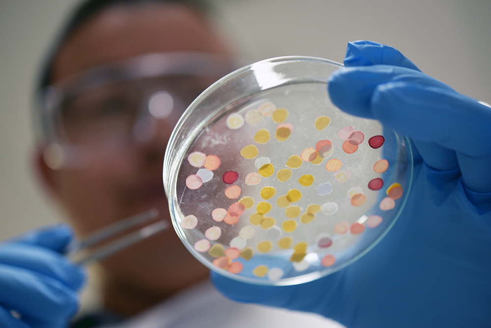 Working with industry to solve waste and wine challenges