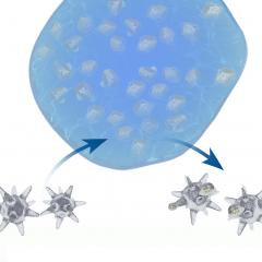 Clay nanoparticles could give vaccines a boost