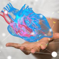 A functional graft of beating heart muscle – known as a cardiomyocyte - derived from pluripotent stem cells could soon be a reality thanks to the efforts of University of Sydney Professor James JH Chong and a team at UQ’s Australian Institute for Bioengineering and Nanotechnology (AIBN).