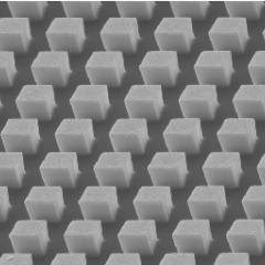 AIBN researchers have developed a diagnostic device, called an Immuno-storm chip, that could identify patients at risk of a potentially lethal ‘cytokine storm’. 