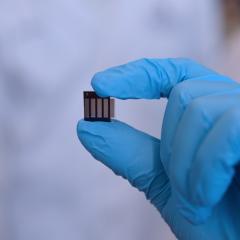 Hand in blue glove holding world record tin-based perovskite solar cell
