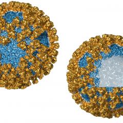 Virus-like nanoparticles (VNP) are made from structural proteins