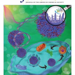 Journal of the American Chemical Society (JACS) cover featuring the work.