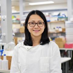 Dr Hang Ta has received funding from the Heart Foundation for her research into how nanomedicines could detect and treat heart disease.