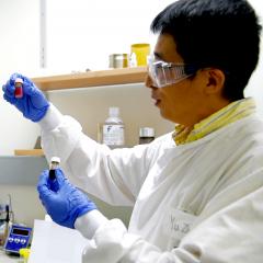 Professor Lianzhou Wang Designing Artificial Leaves to Capture CO2