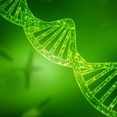 AIBN researchers are working on ways to improve the efficiency of biofuel and chemical manufacture while recycling waste carbon.
