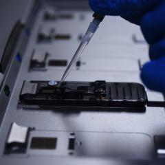 A new parcel of federal funding will help AIBN researchers produce clinical-grade mRNA products that are safer and better quality, and cost far less.  