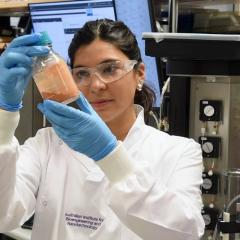 Fernanda Soto Fernanda is leveraging engineering fungal strains adapted to the harsh conditions of red mud to produce organic acids that effectively bind to and isolate critical elements, potentially creating new metal extraction processes.