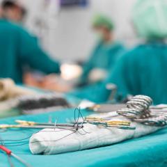 AIBN researchers are harnessing biological nanoparticles to help open-heart surgery patients bounce back after their operations. 